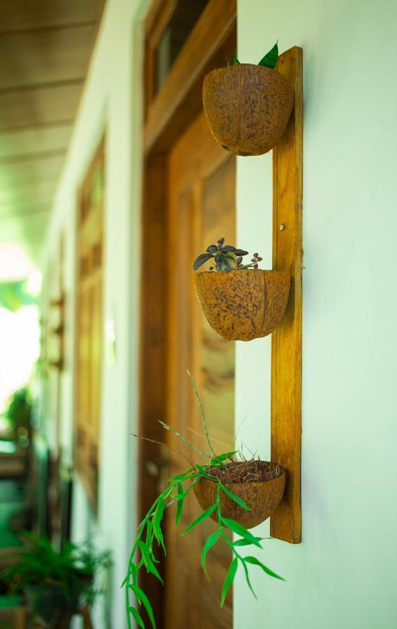 Dambulla Kings Inn Kültér fotó