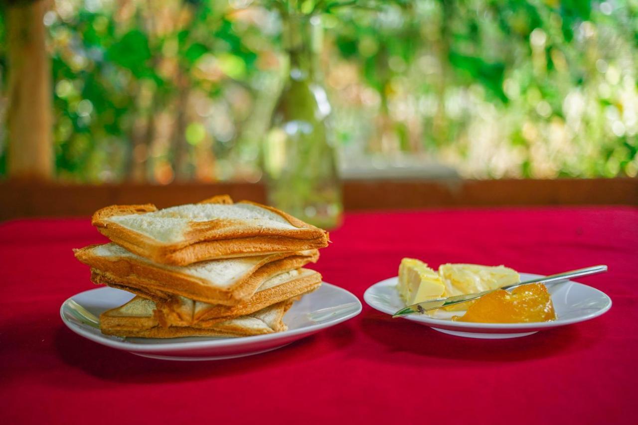 Dambulla Kings Inn Kültér fotó